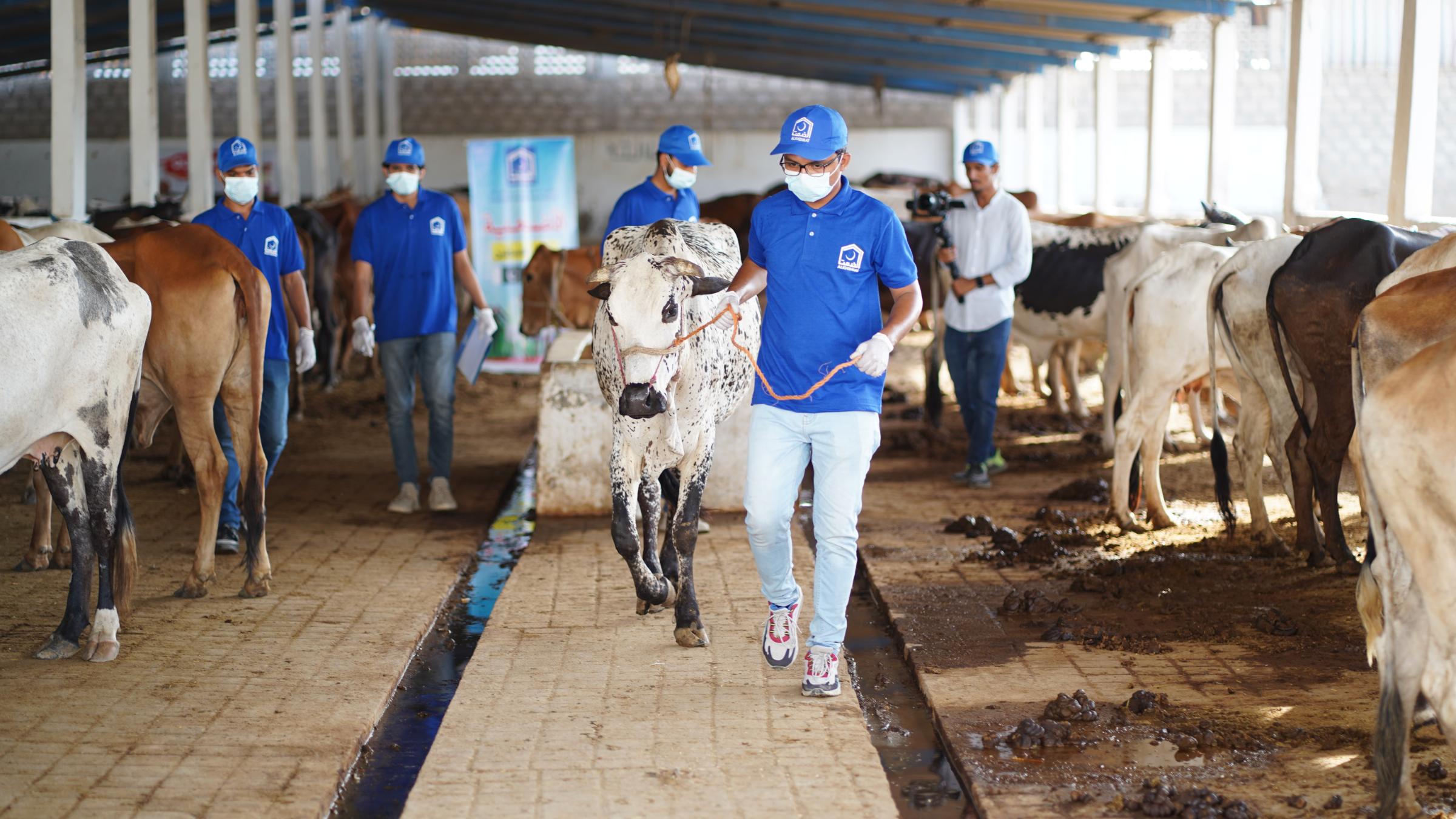 Qurbani in Pakistan