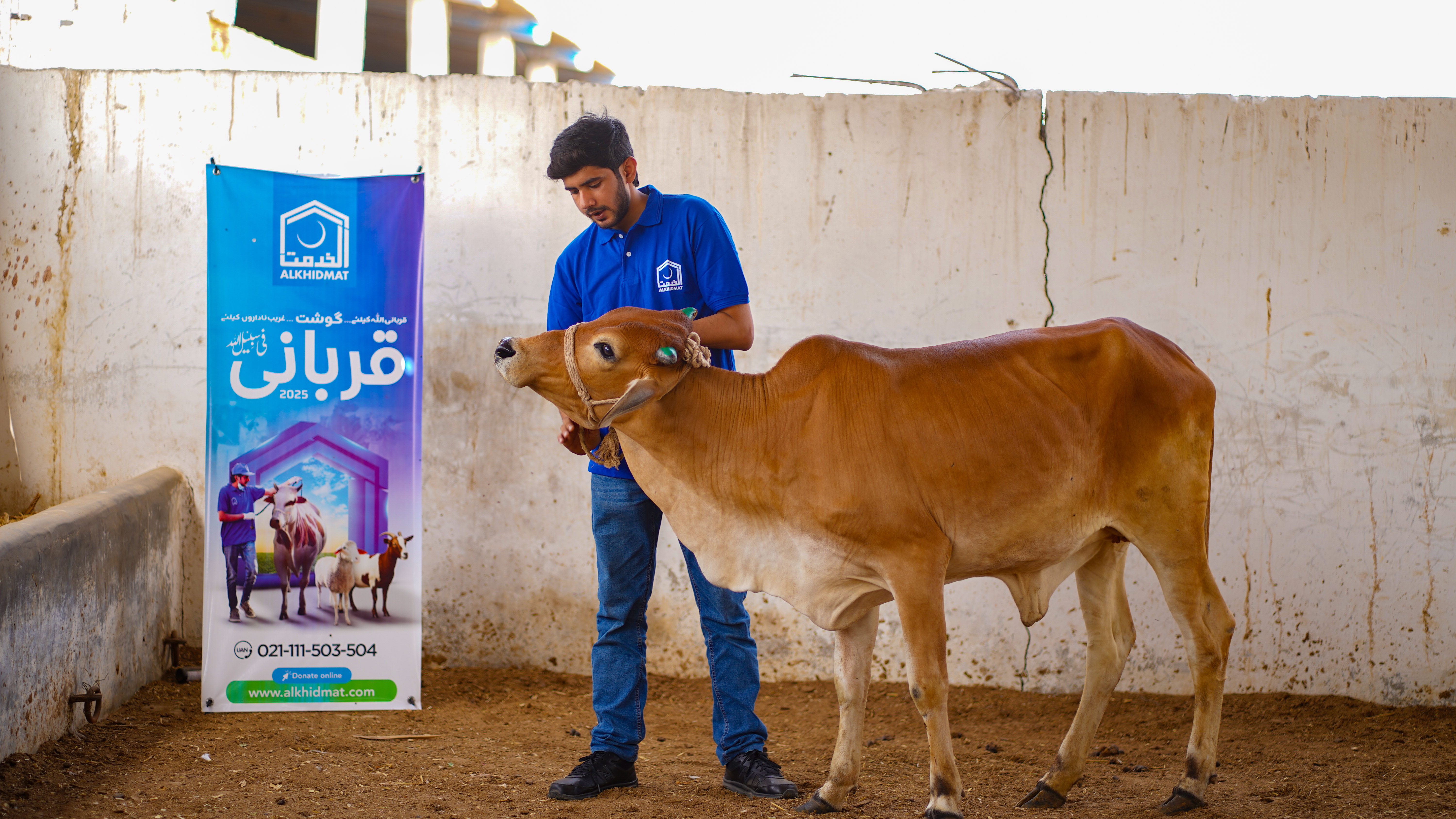 Qurbani support activity 2