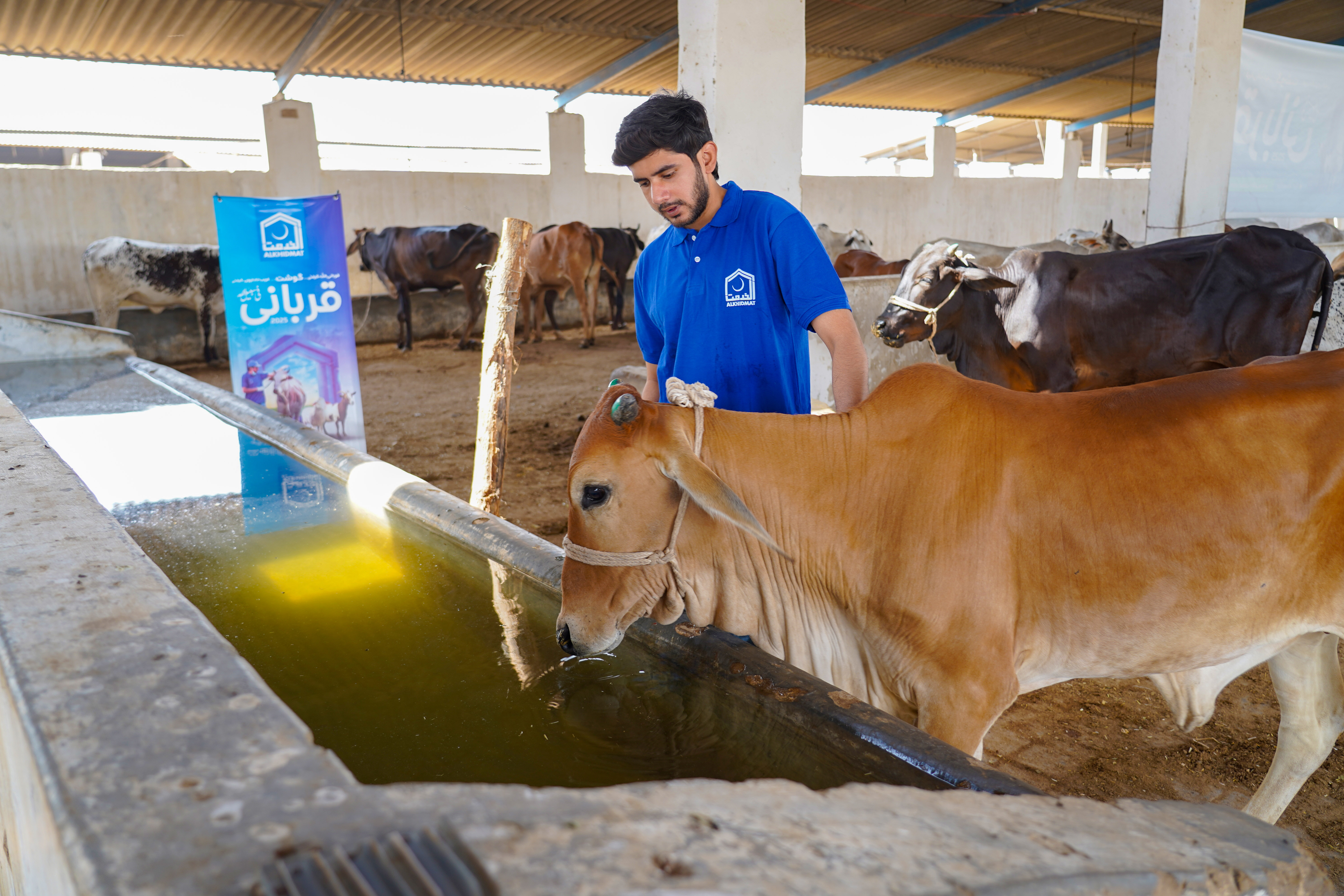Qurbani support activity 3